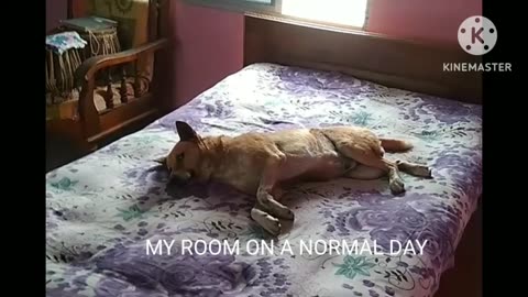 MY ROOM ON A NORMAL DAY