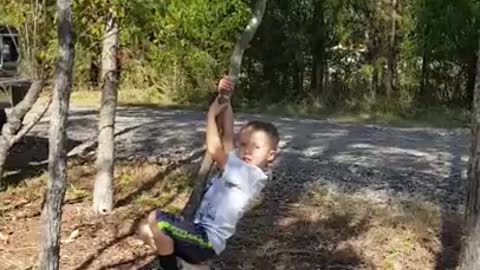 tree climbing