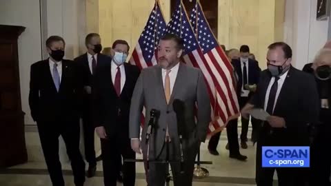 Ted Cruz smacks reporter when harassed for not wearing mask