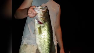 Bass Fishing picture's