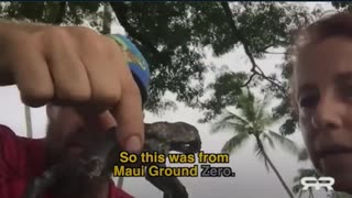 🐸Lahaina, Maui now open - new evidence!🏝️