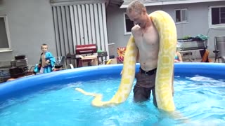 Swimming Snake