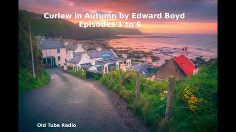 Curlew In Autumn by Edward Boyd