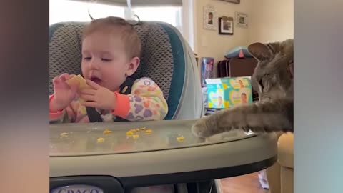 SUPER FUNNY AND CUTE BABIES VIDEO