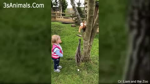 Baby doing fun with a parrot