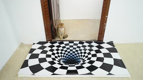 Cats vs Indoor Sinkhole (Can Our Cats See Optical Illusion)