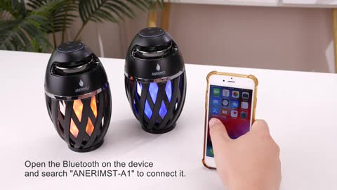ANERIMST Outdoor Bluetooth Speaker with Flame Torch Light