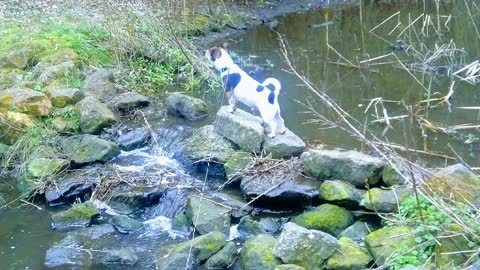 Milo And The Rock Dam.