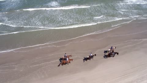 Horseback Riding on Beach, Aerial