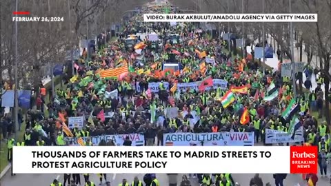 WATCH: Thousands Of Farmers Take To Madrid Streets To Protest Agriculture Policy