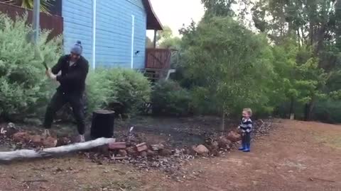 Pequeño encuentra el talar madera de su papá completamente gracioso