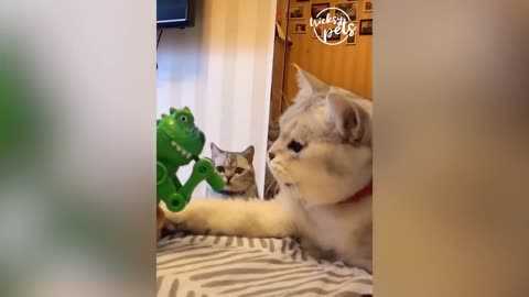 video of Funny Cats Reaction To Toy - Funniest Dogs And Cats Compilations Tricksy Pet