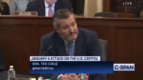 Ted Cruz Goes Full RINO With His Latest Claims About January 6th Protestors