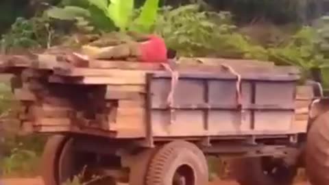 Man falls from a truck while sleeping