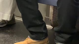 Man brown timbs boots clipping nails