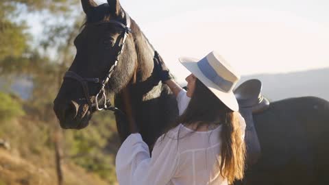 Beautiful horse looking at camera as woman patting neck in slow motion