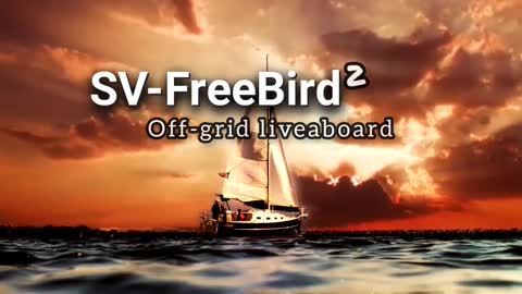 SV FreeBird2