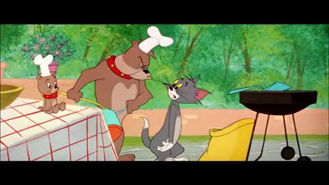 Tom & Jerry Cartoon