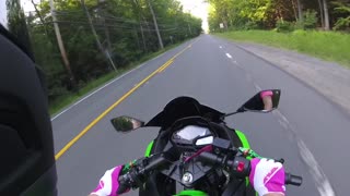 Motorcyclist Barely Avoids Bear