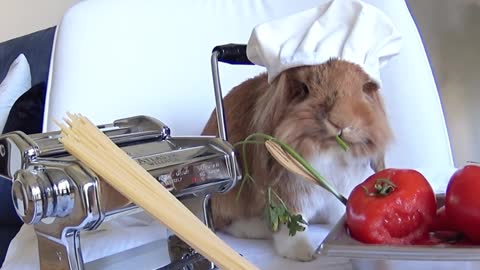 Who wants to taste those pasta a la bunlognese ?