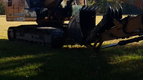 Old Man Giving the Back Yard a Haircut !