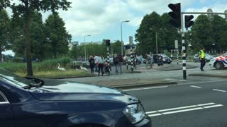 Police Escorts a Family of Swans