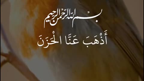 Al Quran Tilawat