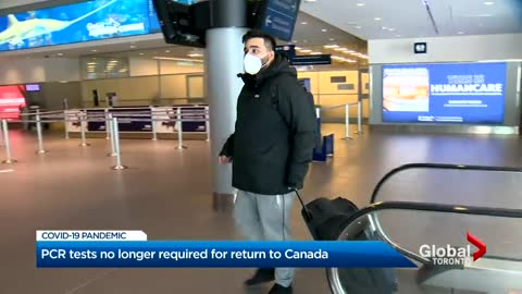 COVID-19: Canada sees flight bookings rise as travel rules loosen, PCR test no longer required