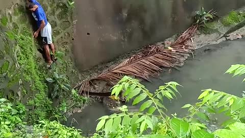Two Young Heroes Save an Injured Mama Dog Stuck in a River