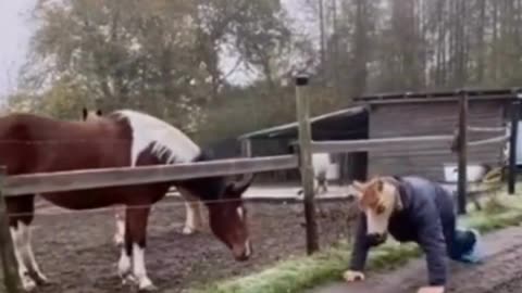 Funny and trending short videos #horse #funny #shortvideo #funnyvideo #trending