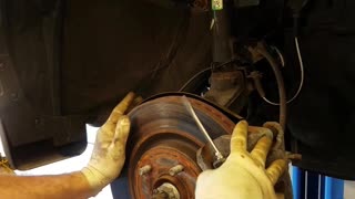 Mechanic Finds Dead Squirrel in Car