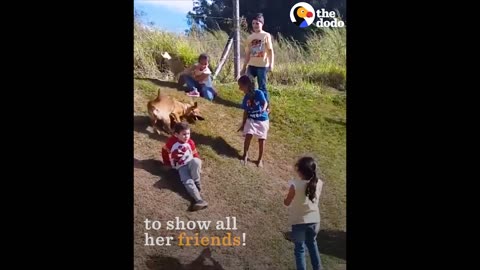 Dog Slides Down Hill With Kids | The Dodo