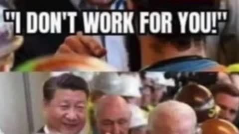 Quid pro quo Beijing owned joe