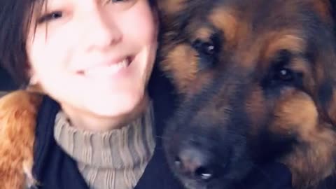 Taking a Selfie with Your German Shepherd