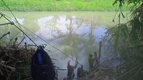 good fishing