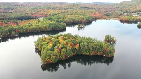 Changing Colors Of The Tree Leaves In Autumn