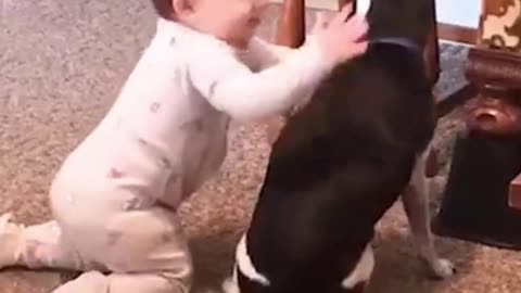 Amazing Feeling Of Small Baby and Puppy With Each Other