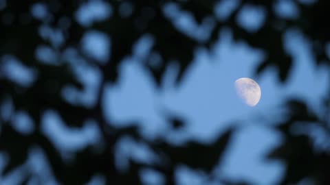 The moon girl rose and seemed to be speaking quietly to the clouds around her