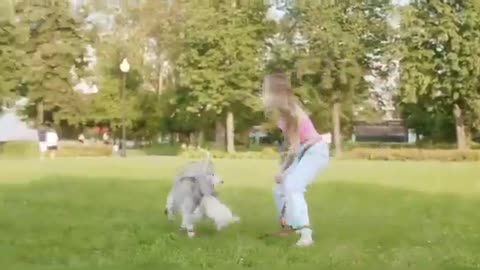 German shepherd dog dog playing with toy cute dog funny video #short #shortvideo #germanshepherd