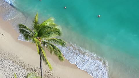 RELAXING TROPICAL BEACH VIDEO