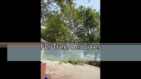 FC Tree Services - (510) 350-1455