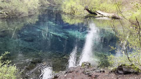 Out of the Clear Blue – Clear Lake Loop – Willamette National Forest – Central Oregon – 4K