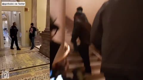 Video Shows Tense Confrontation Between Protestors & Capitol Police Officer Eugene Goodman