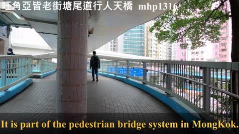 旺角亞皆老街塘尾道行人天橋 Tong Mei Road Footbridge, mhp1316, Apr 2021