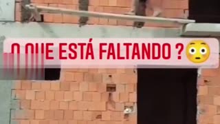 Que falta agora