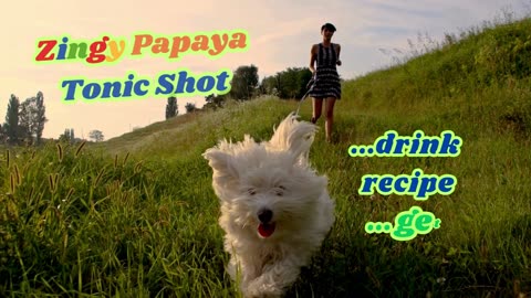 ZINGY PAPAYA Ultimate TONIC SHOT DRINK Revitalize