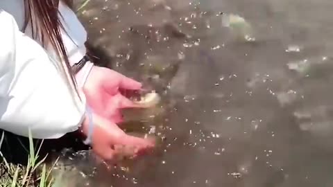 The Fish Love this so Much!! 😲 #shortvideo #trending