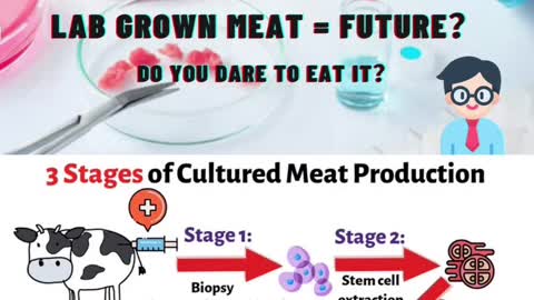 How To Produce Lab Grown Meat? #shorts