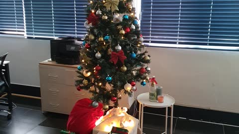 Christmas tree in Korean office