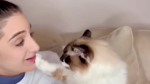 This woman cat kissing crazy video